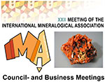 IMA Council Business Meetings